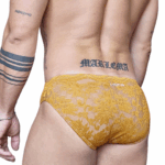 LACE, PRIDE, ORGULLO, SWIMWEAR SUMMER COLLECTION, ENCAJE, MALE